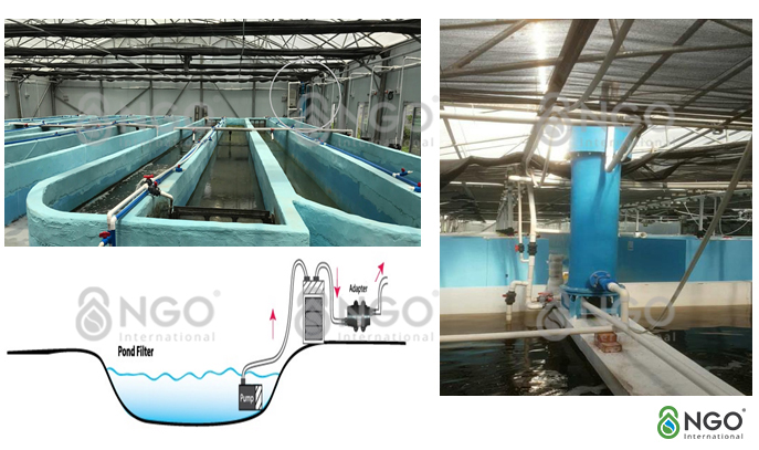 Hệ thống xử lý nước thải nuôi trồng thủy sản sử dụng công nghệ xúc tác điện hóa