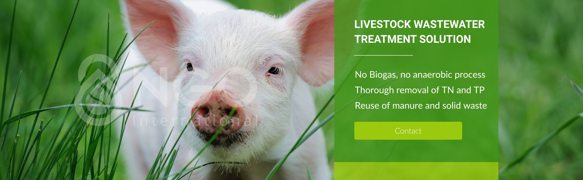 NEW TECHNOLOGY SOLUTIONS FOR LIVESTOCK WASTEWATER TREATMENT NEW TECHNOLOGY SOLUTIONS FOR LIVESTOCK WASTEWATER TREATMENT