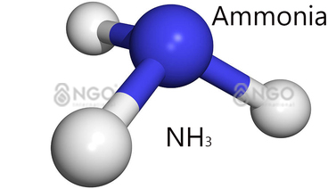 TREATING AMMONIUM IN WASTEWATER Xử_ly_amoni_trong_nuớc_thải_7_DS