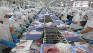 TÍNH CHẤT NƯỚC THẢI CHẾ BIẾN THỦY SẢN rsz_chế-biến-thủy-sản