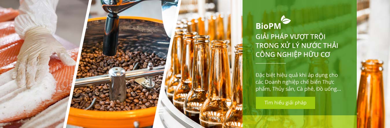 BioPM - GIẢI PHÁP XỬ LÝ NƯỚC THẢI CÔNG NGHIỆP HỮU CƠ BioPM - GIẢI PHÁP XỬ LÝ NƯỚC THẢI CÔNG NGHIỆP HỮU CƠ