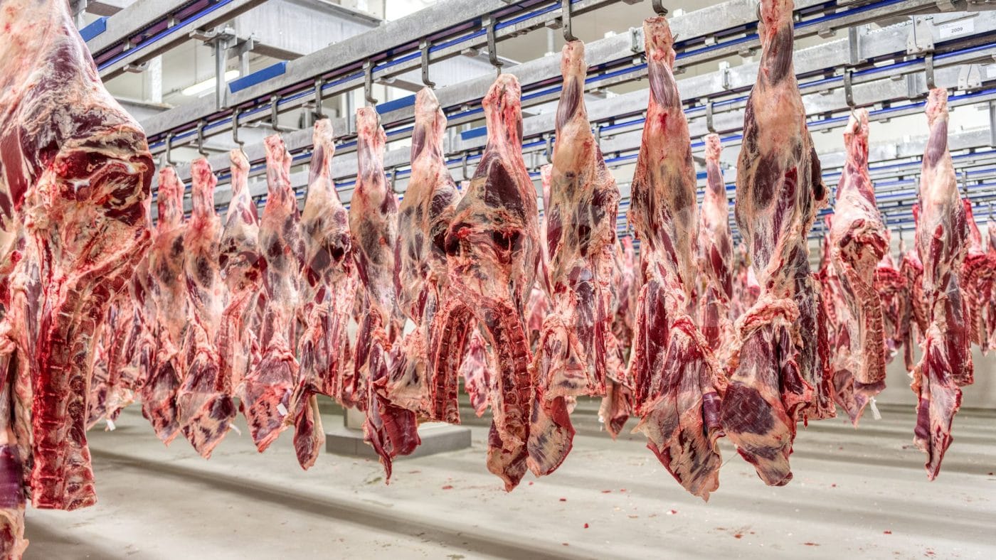 XỬ LÝ NƯỚC THẢI LÒ MỔ, CHẾ BIẾN THỊT GIA SÚC, GIA CẦM | NGO Environment