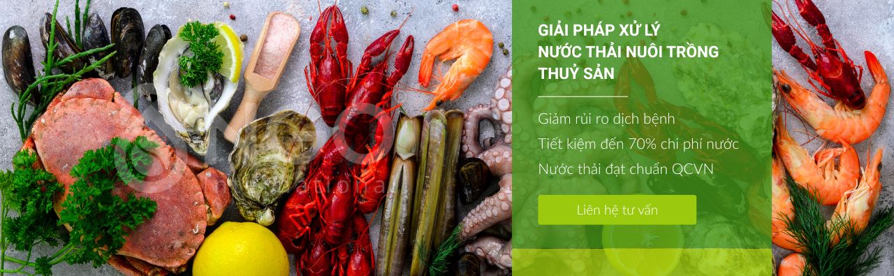 GIẢI PHÁP XỬ LÝ NƯỚC THẢI NUÔI TRỒNG THUỶ SẢN