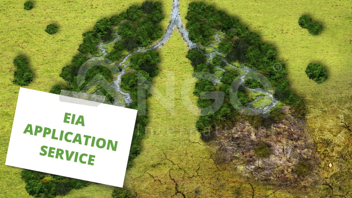 Environmental impact assessment permit application services EIA APPLICATION SERVICE