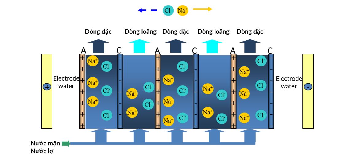 hoi-nghi-toan-quoc-4