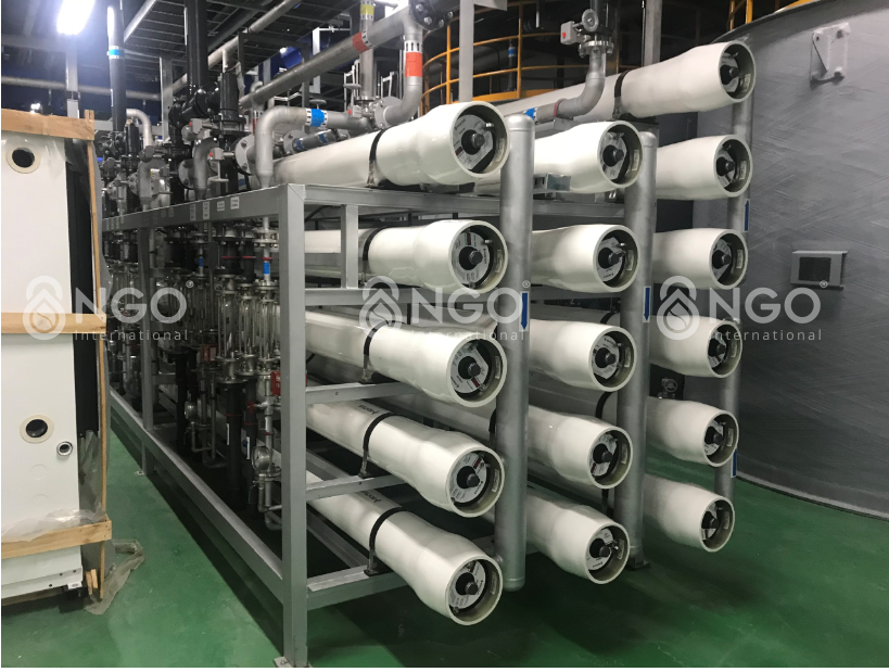 mang-ro-nhung-dieu-can-biet-3