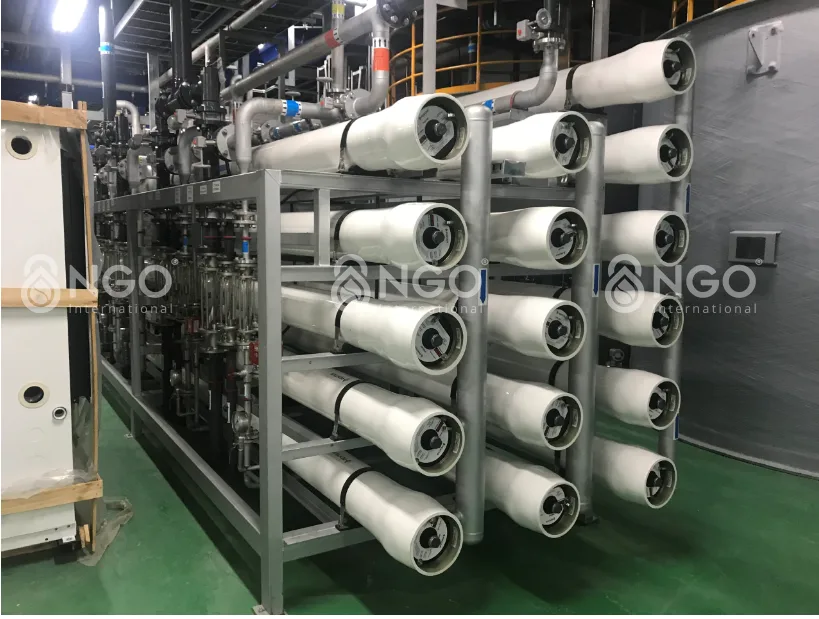 mang-ro-nhung-dieu-can-biet-3