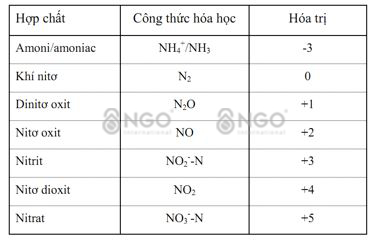 NH4 Hóa Trị: Tính Chất, Ứng Dụng và Phản Ứng Hóa Học