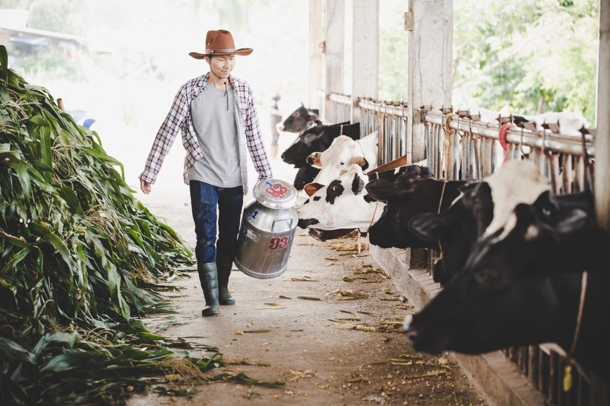XỬ LÝ NƯỚC THẢI NGÀNH CHĂN NUÔI VÀ ĐÂU LÀ PHƯƠNG PHÁP TÁI TUẦN HOÀN TẠI VIỆT NAM? nuoc thai chan nuoi