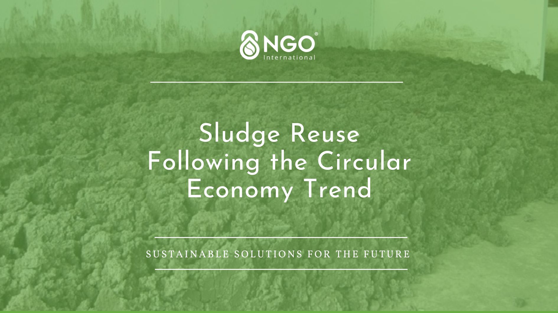 Sludge Reuse Following the Circular Economy Trend