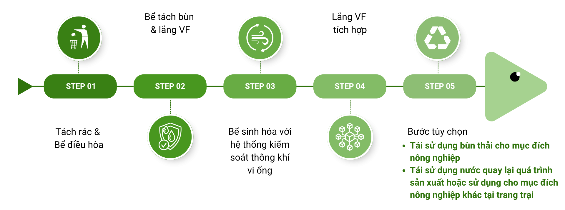 Công nghệ xử lý nước thải chăn nuôi heo mới của NGO