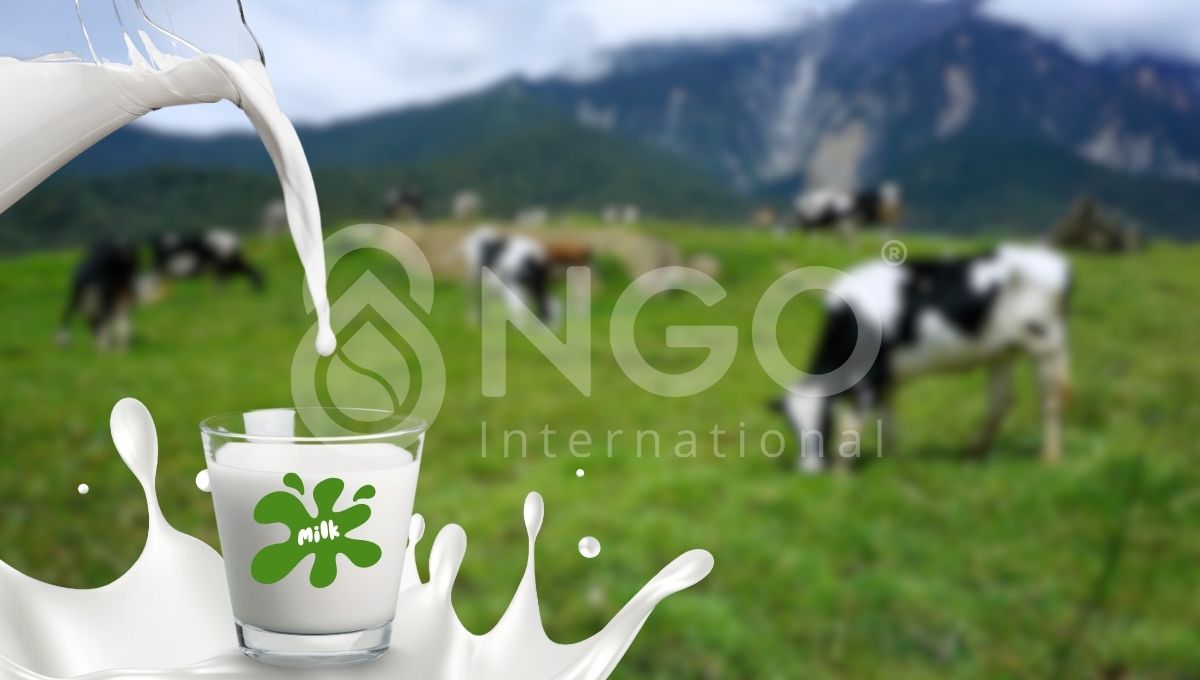 XỬ LÝ NƯỚC THẢI NGÀNH SỮA nganh sua