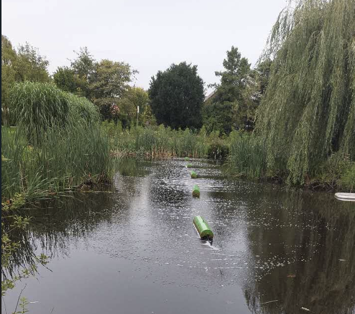Fish Pond | NGO Environment