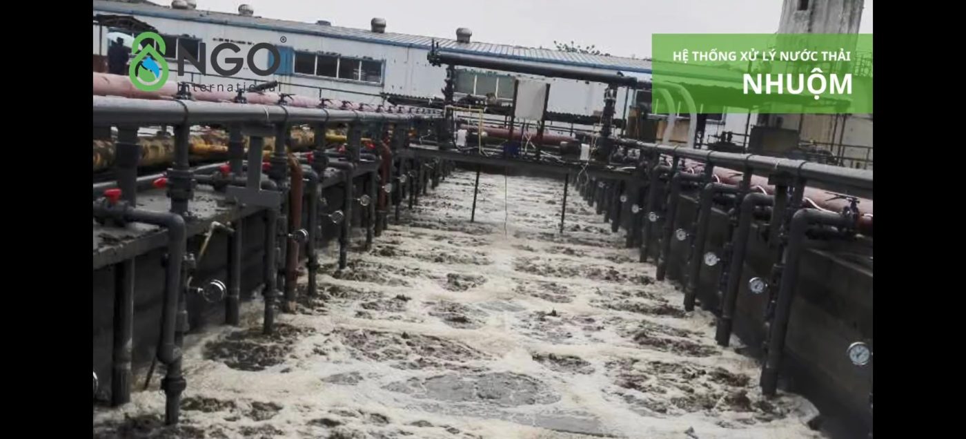 Trạm Xlnt Det Nhuom 2 | NGO Environment